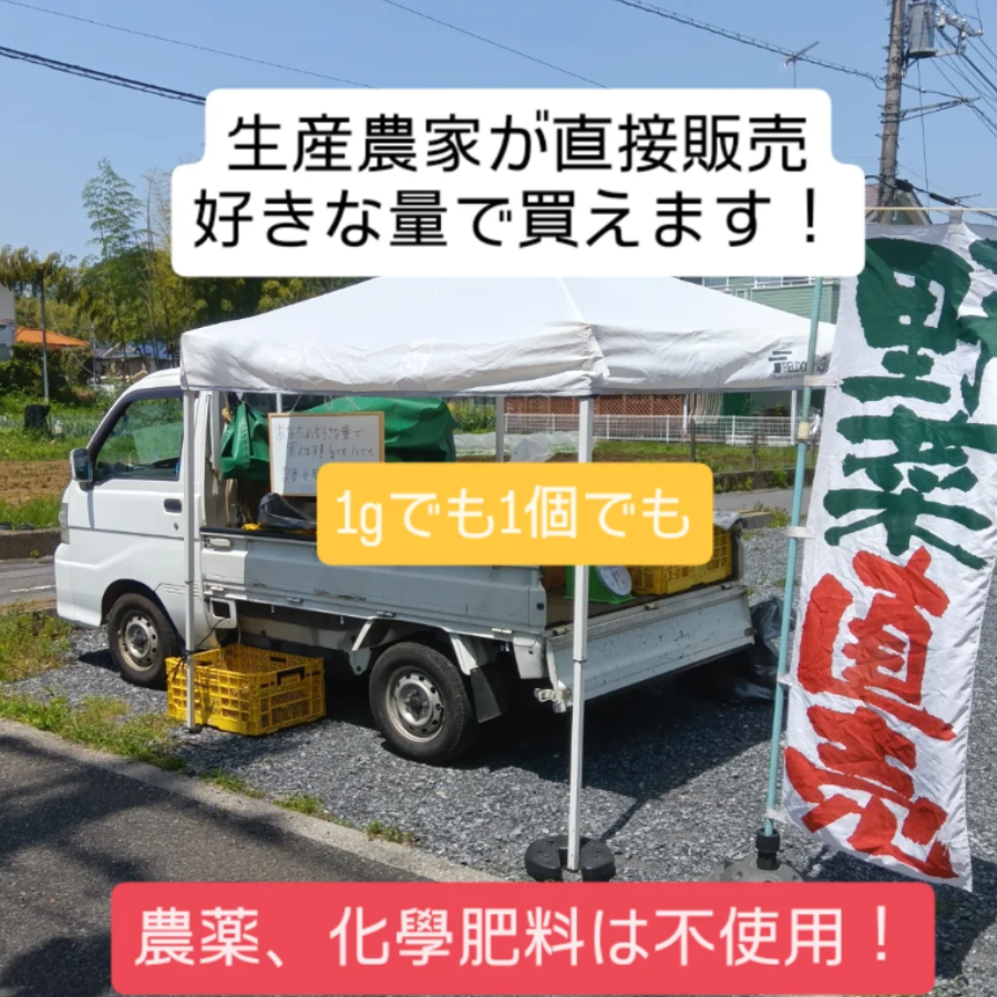 ミネラル醗酵ドリンク